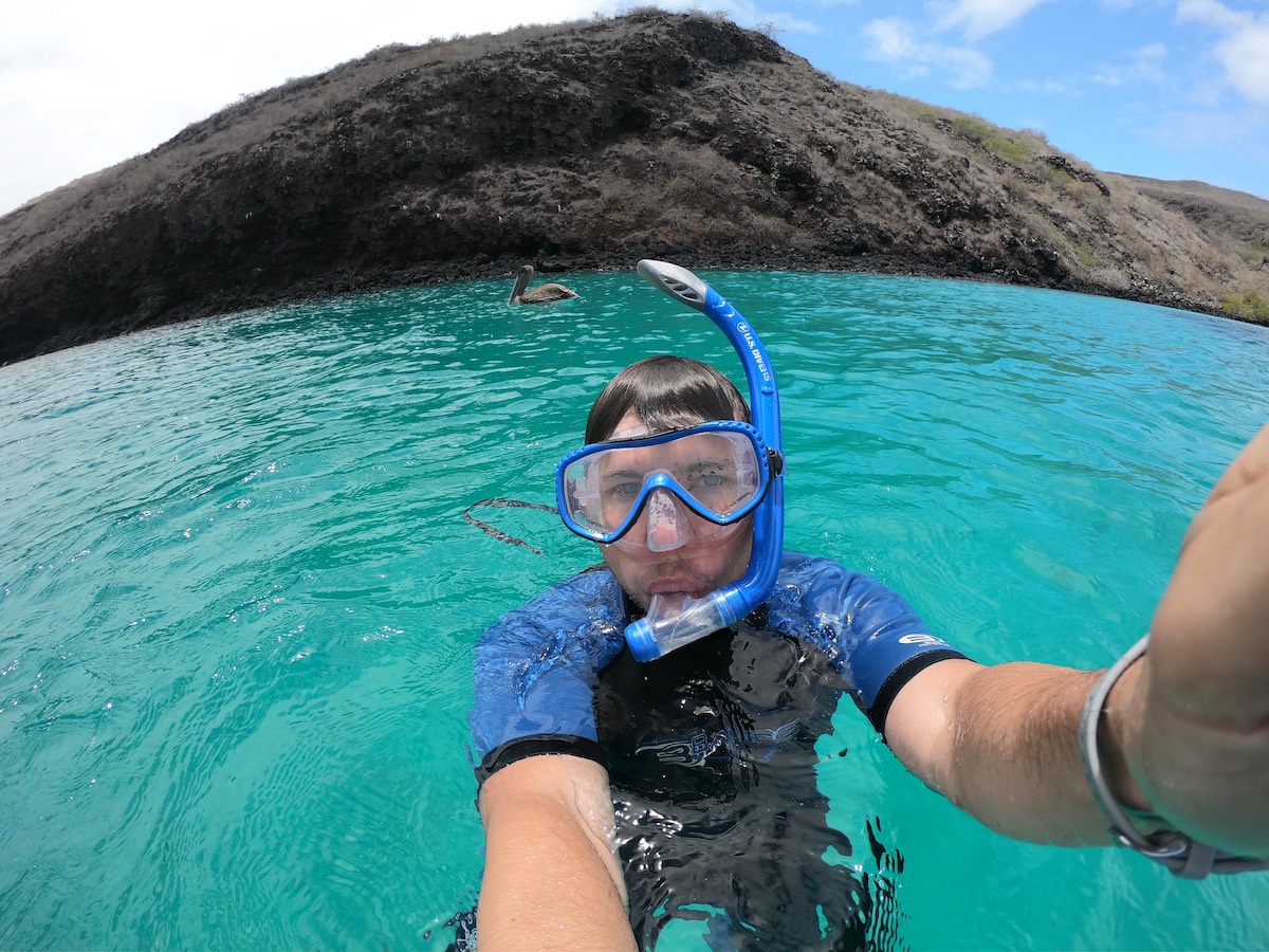 Albatros hinter mir Pinzon Insel Galapagos