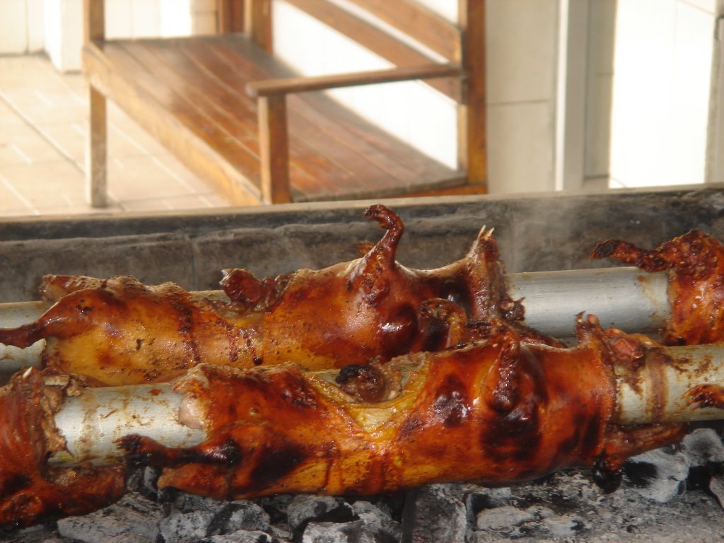Probando Cuy asado en Cuenca Ecuador Probando Cuy asado en Cuenca Ecuador