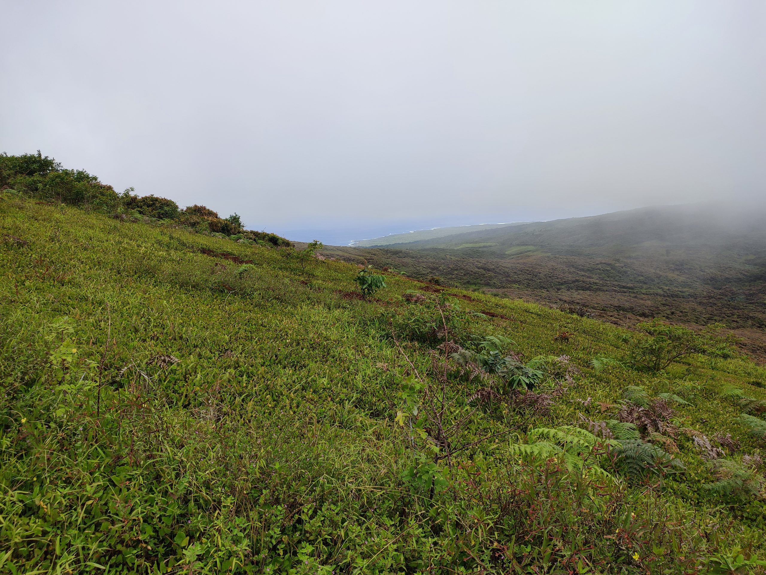Wandern an der Lagune El Junco Galapagos