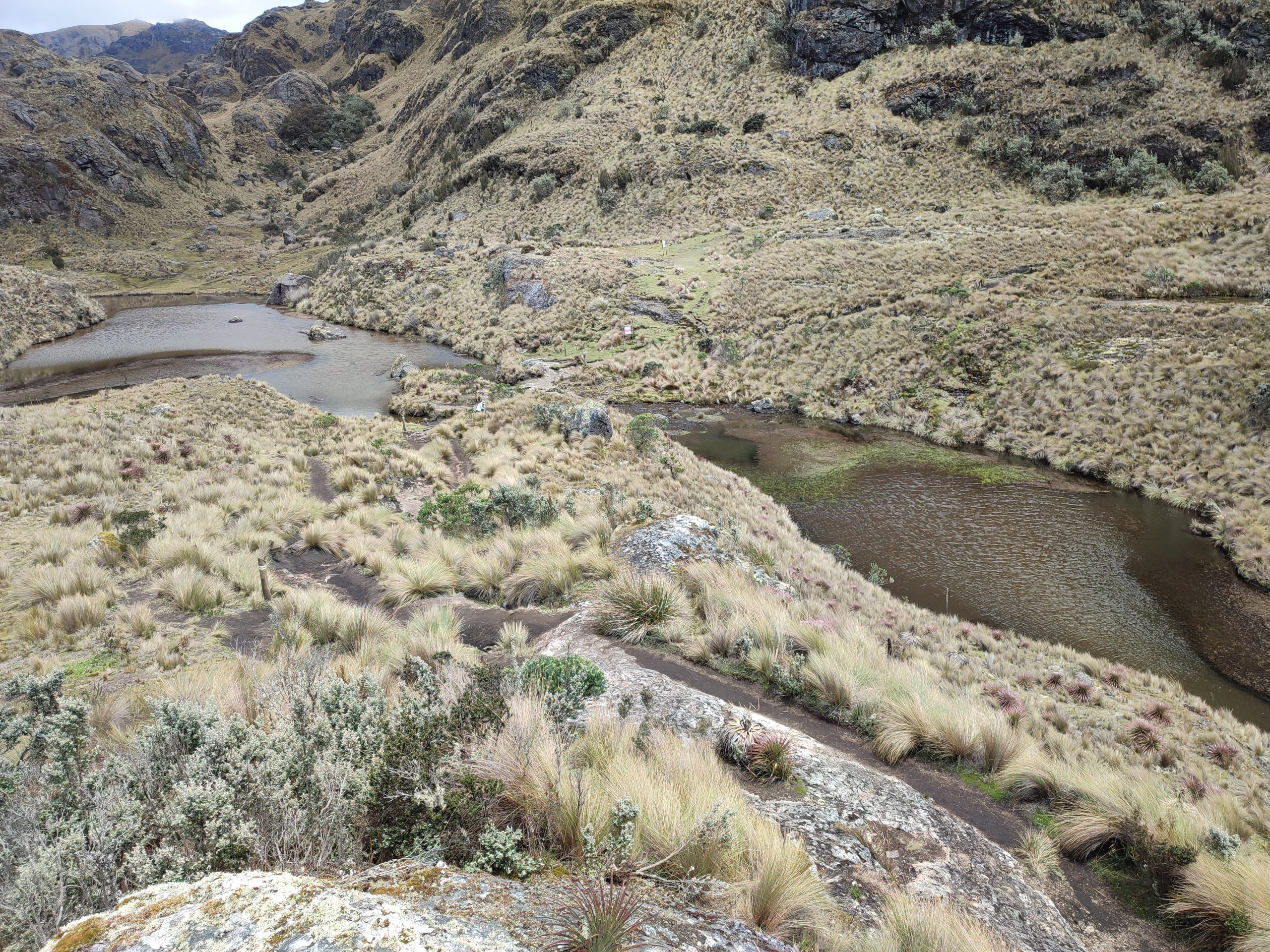 Sendero Ilincocha en el Parque Nacional El Cajas