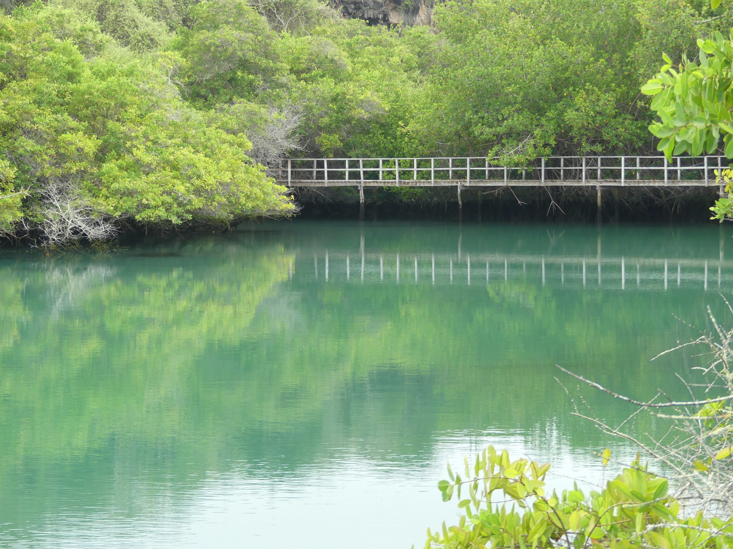 Caminando alrededor de la Laguna de las Ninfas Galápagos