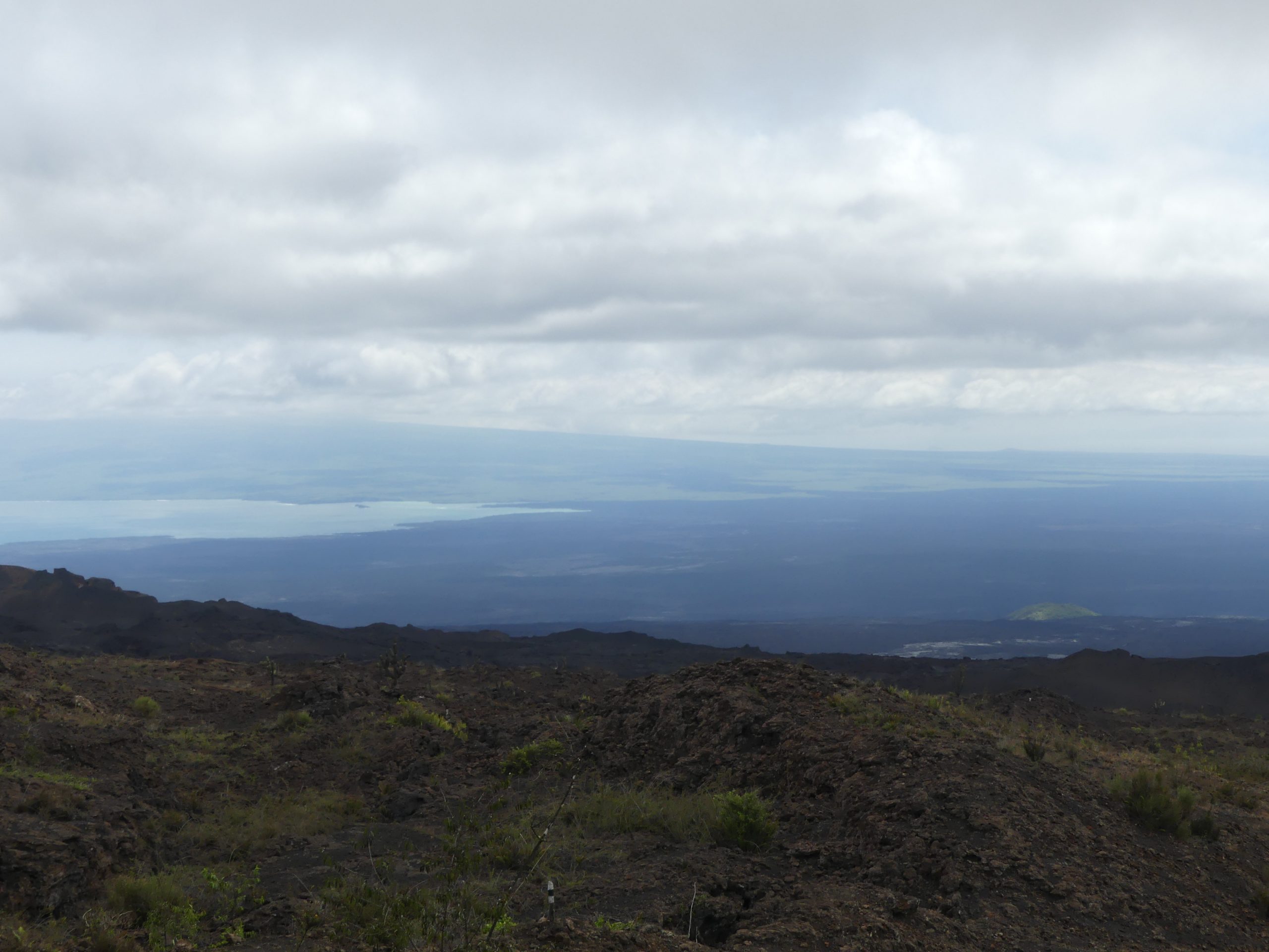 Nebel auf dem Gipfel des Sierra Negra Vulkans, Galapagos