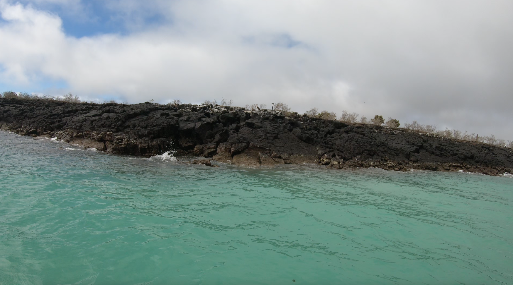 Llegar a la Isla Lobos Galápagos