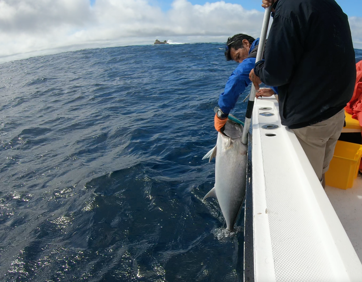 Pesca durante Tour 360 San Cristóbal