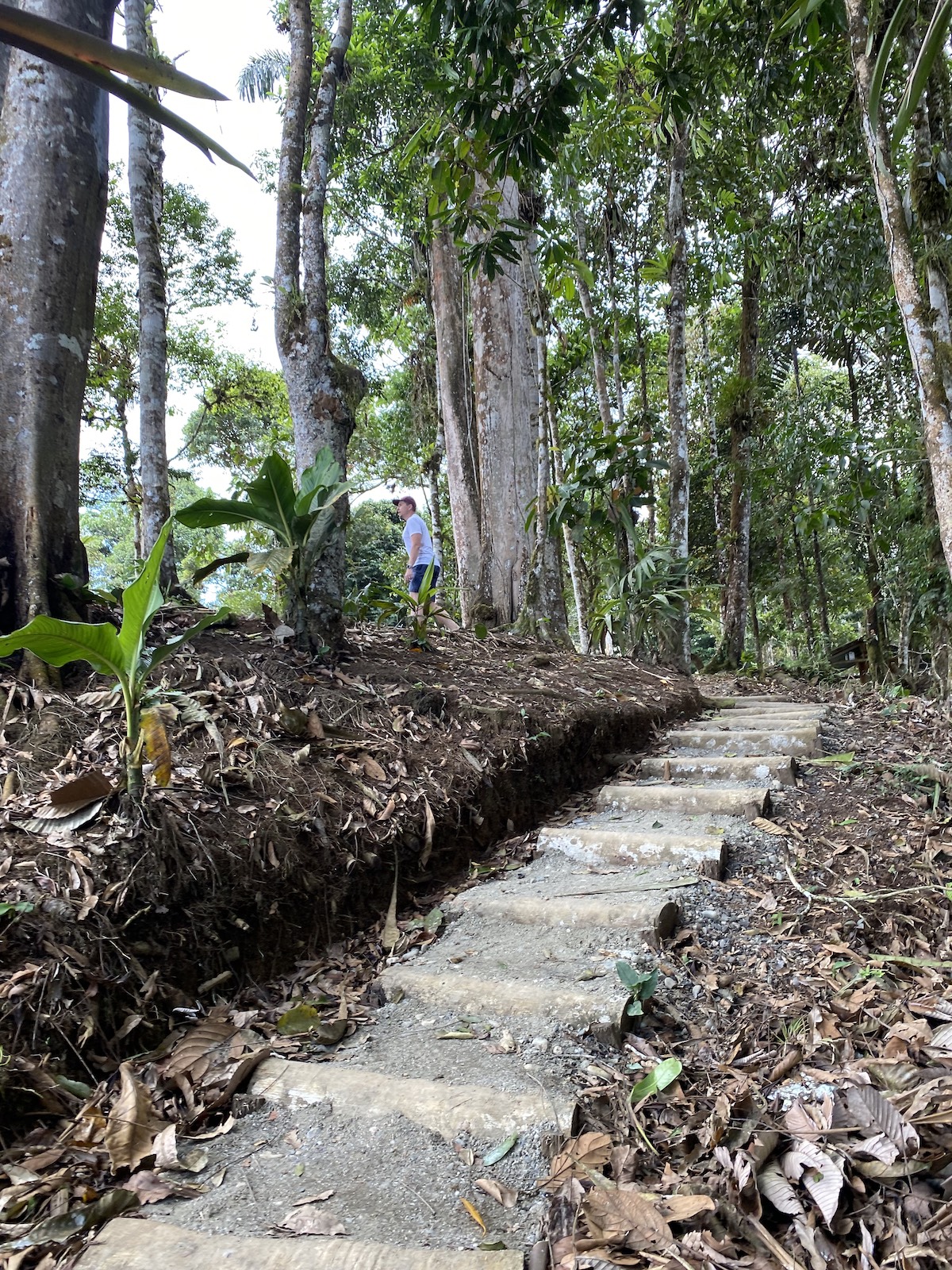 Wanderung zur Finca Mirador Indichurris