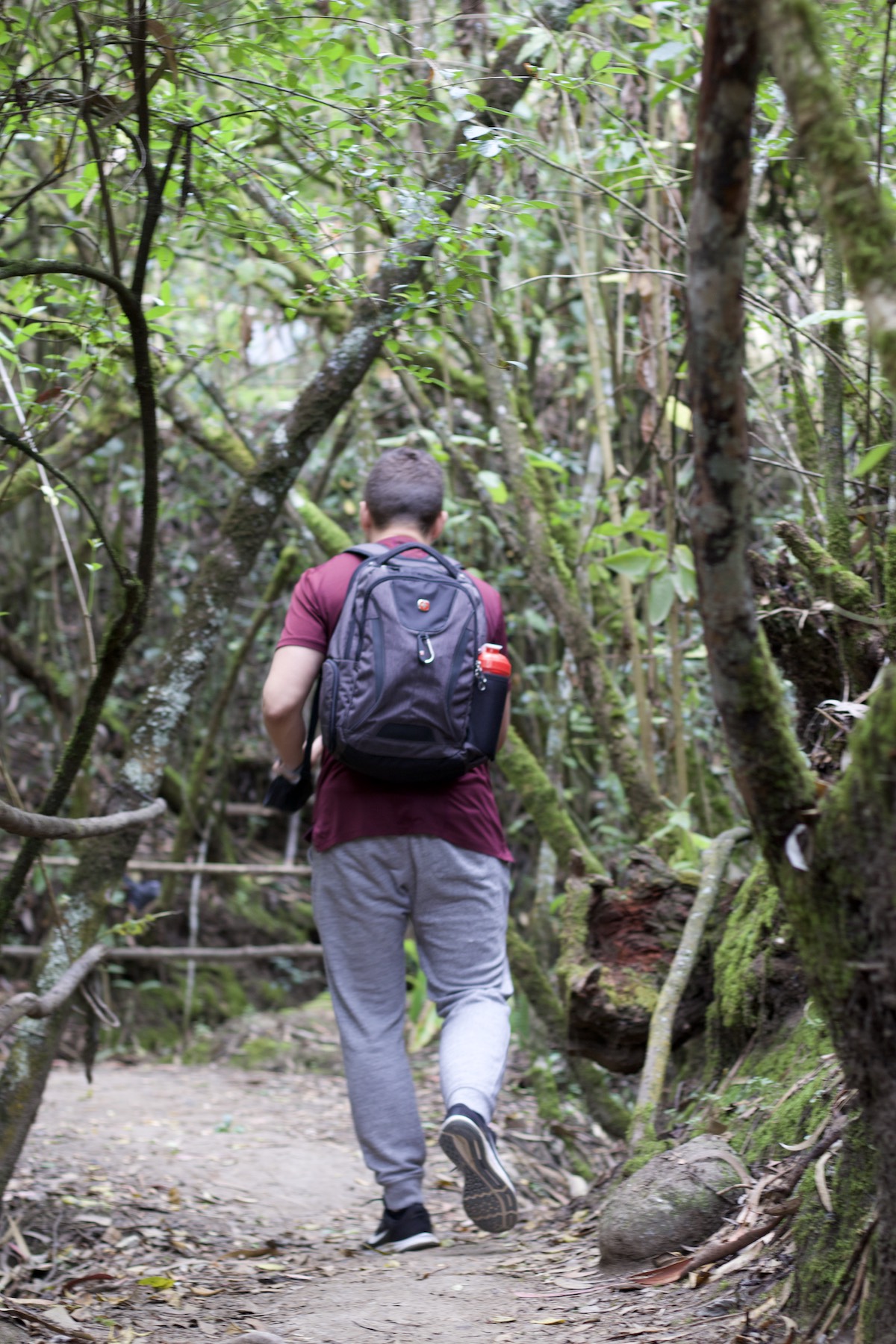 Mann mit Rucksack geht auf einem moosigen Waldweg davon