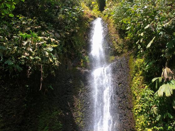 Cascada Vida Natural in Amazon basic of Ecuador