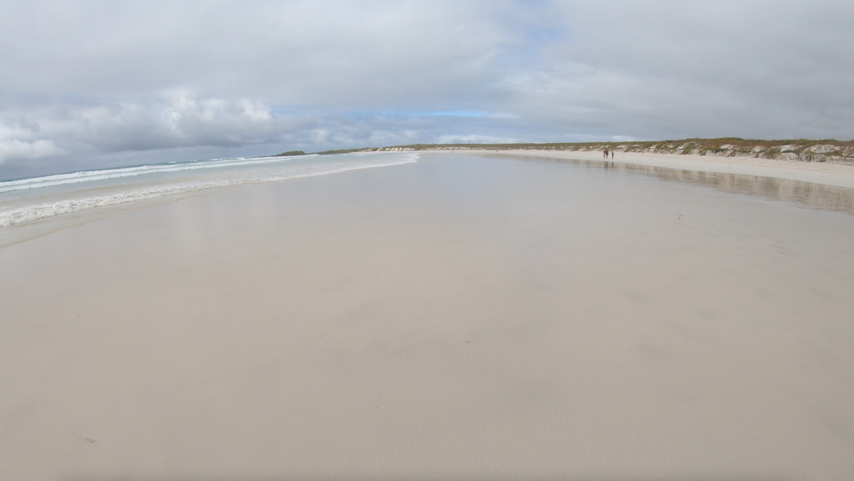 breiter Strand von Tortuga Bay breiter Strand von Tortuga Bay