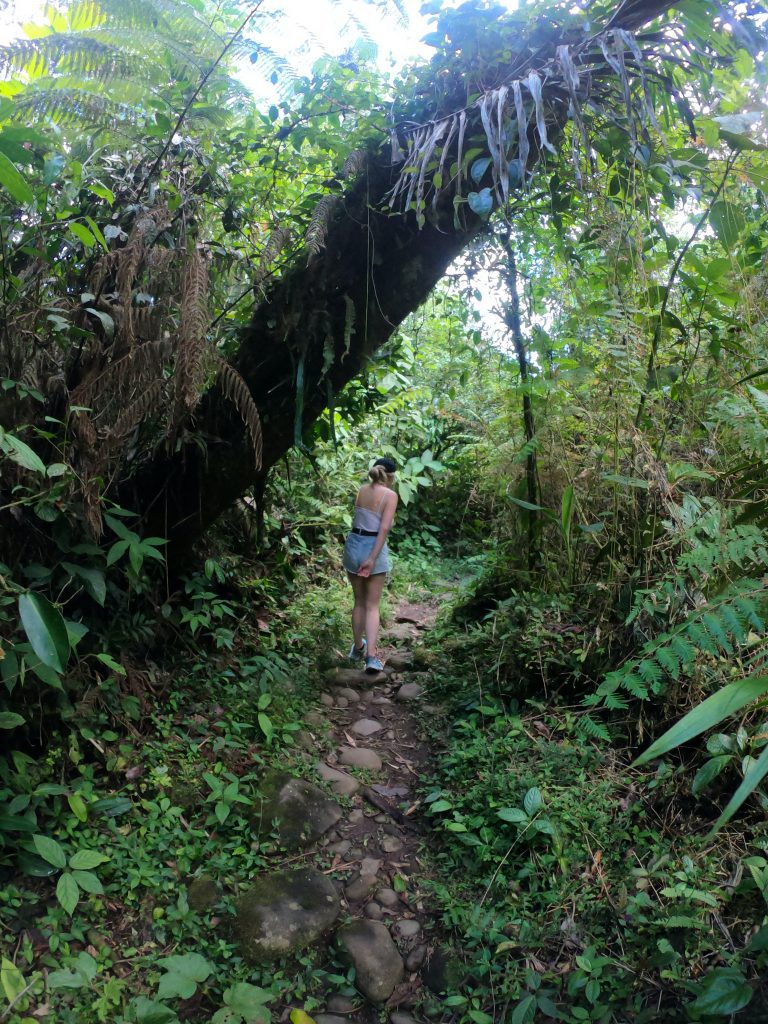 Hiking in Ecuadorian jungles