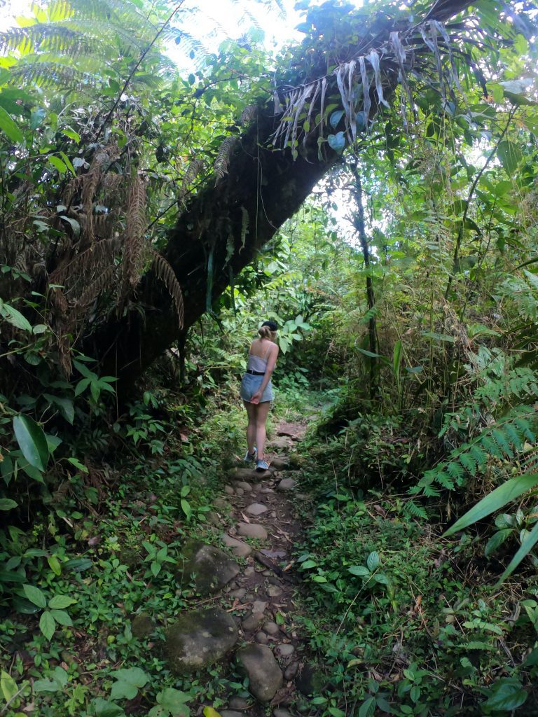 Hiking in Ecuadorian jungles near Puyo