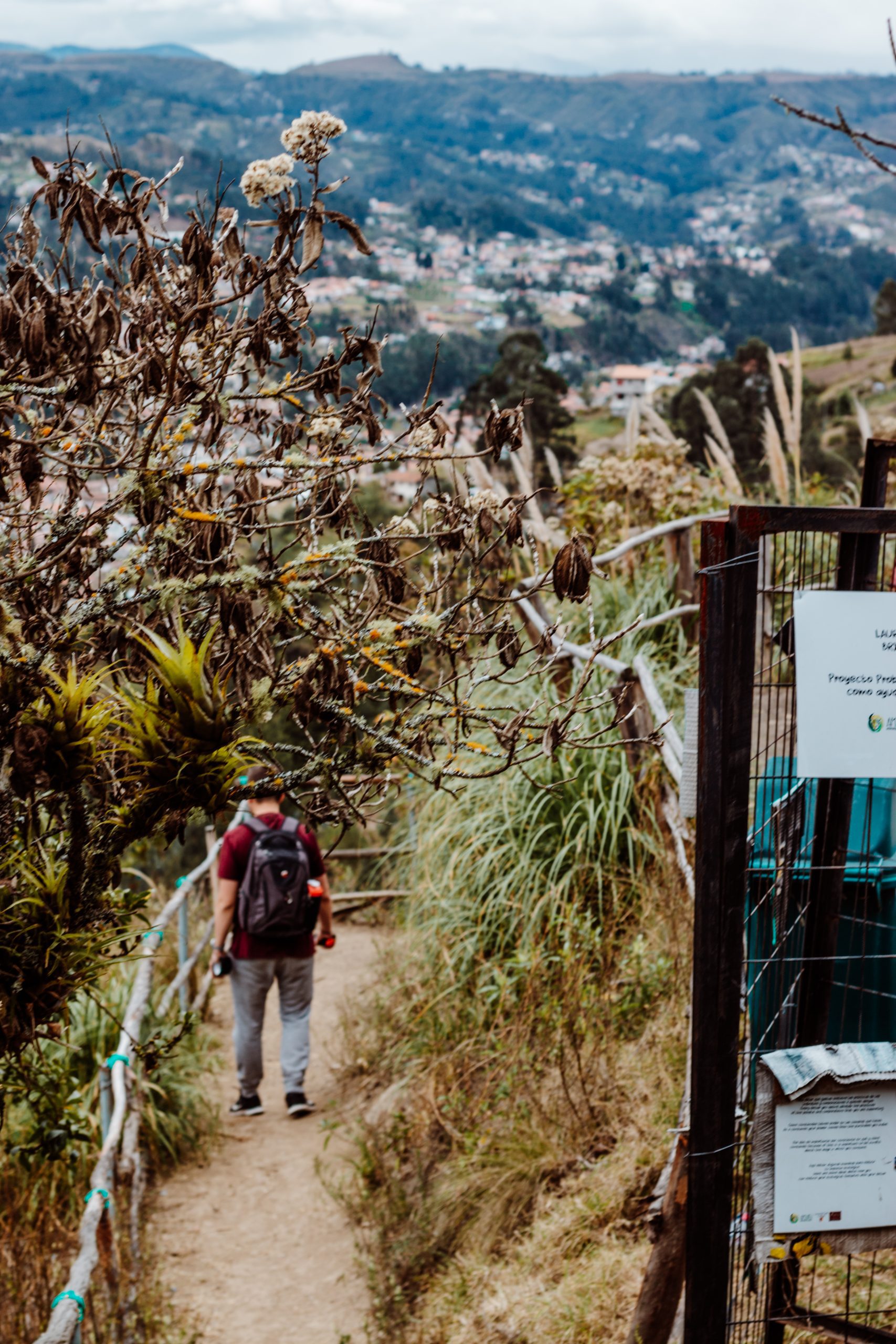 Open air trail at the zoo in Cuenca Ecuador