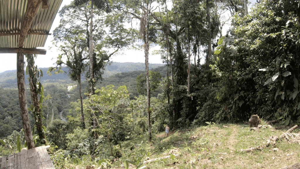 Somewhere at the top of Ecuadorian jungles