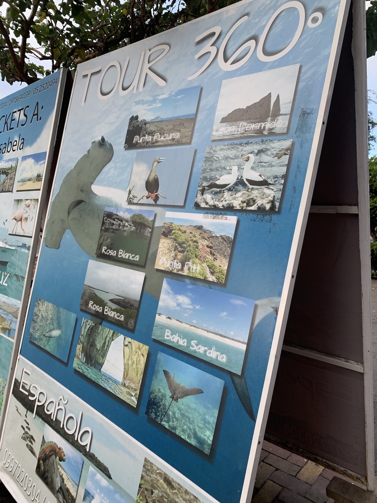 Tour 360 banner on Galapagos Islands