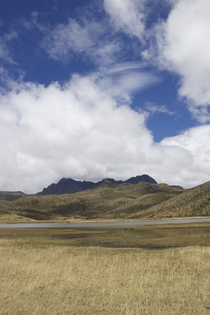 View to Laguna Limpiopungo