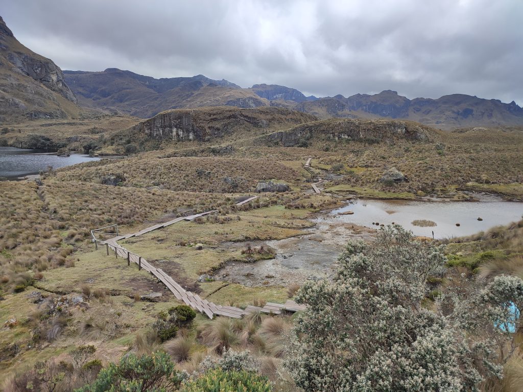 View from 4000m of El Cajas National park