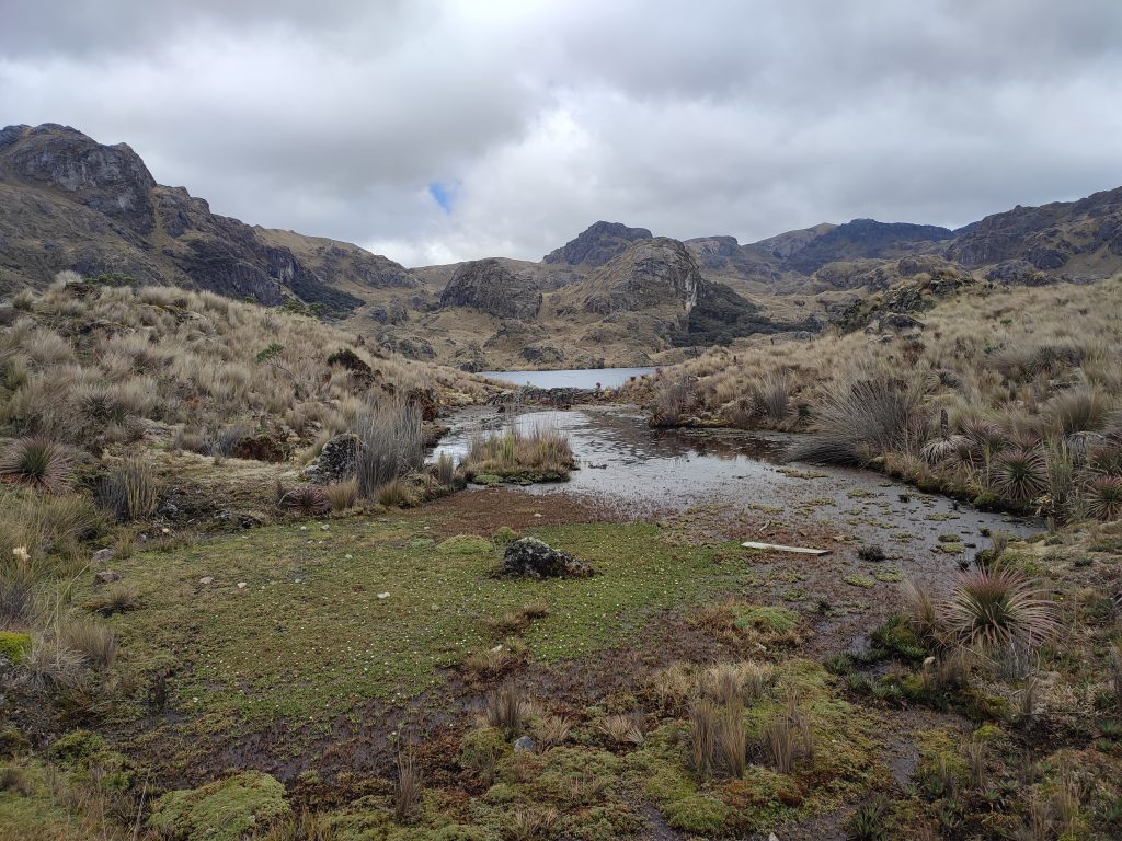 Nature beauty on El Cajas National Park