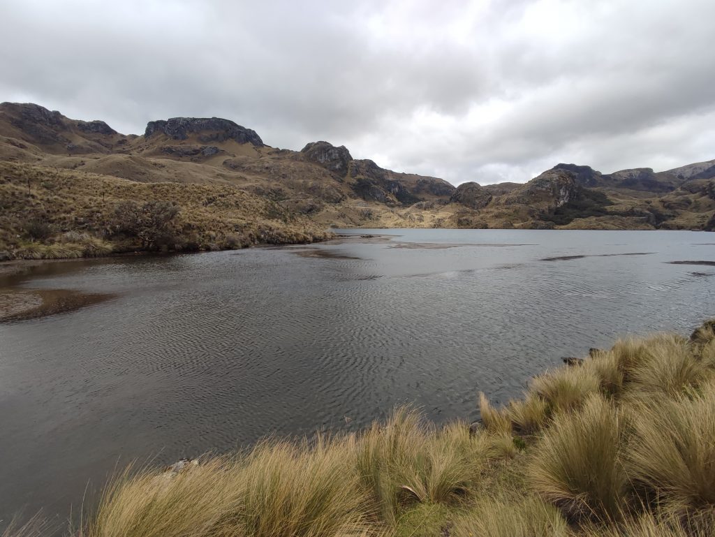 The Uku trail in Cajas National Park