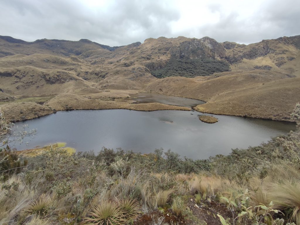 Beginning of the trail in El Cajas National Park