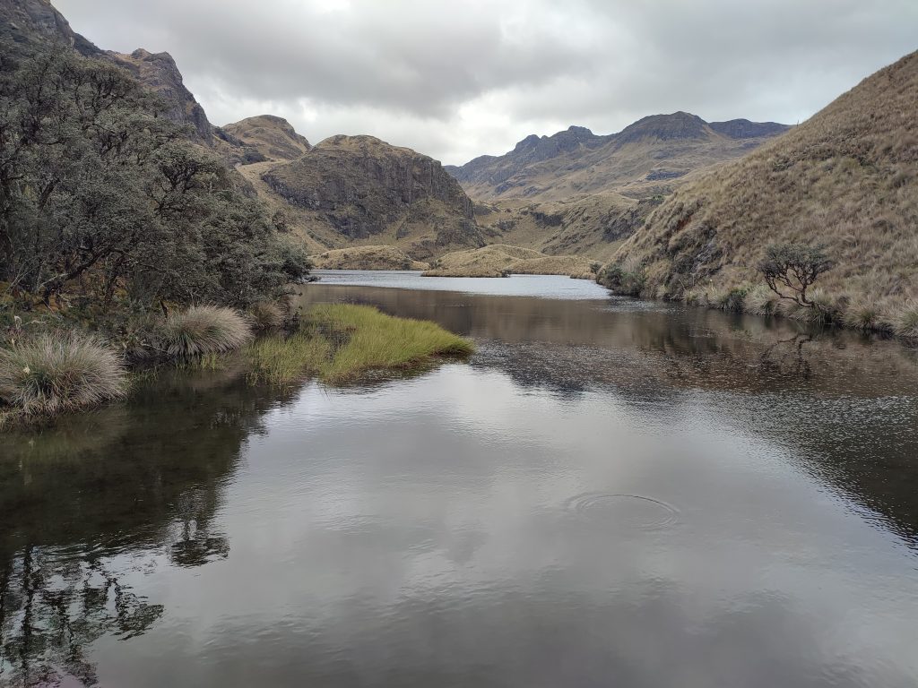 More lagoons in Parque Nacional Cajas 