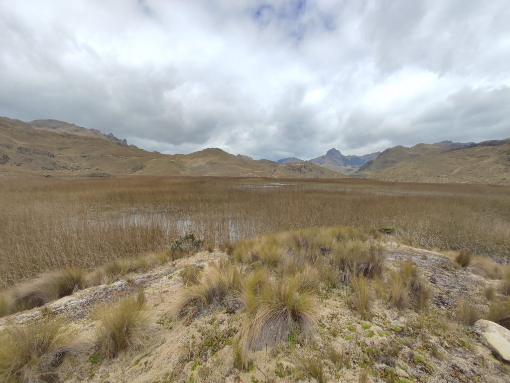 Nature and Human History Trail in El Cajas National park