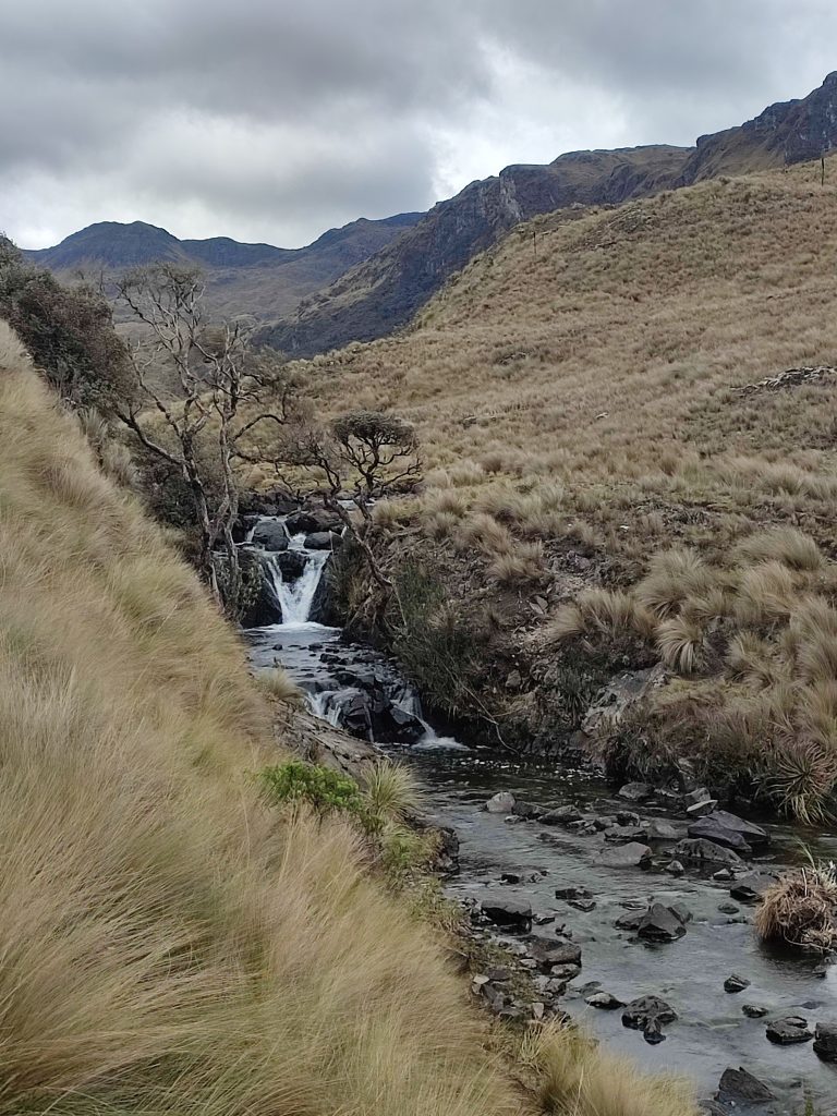 Wet and rain at El Cajas National park