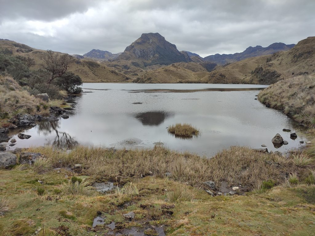 Toreadora Lagoon trail in El Cajas national park