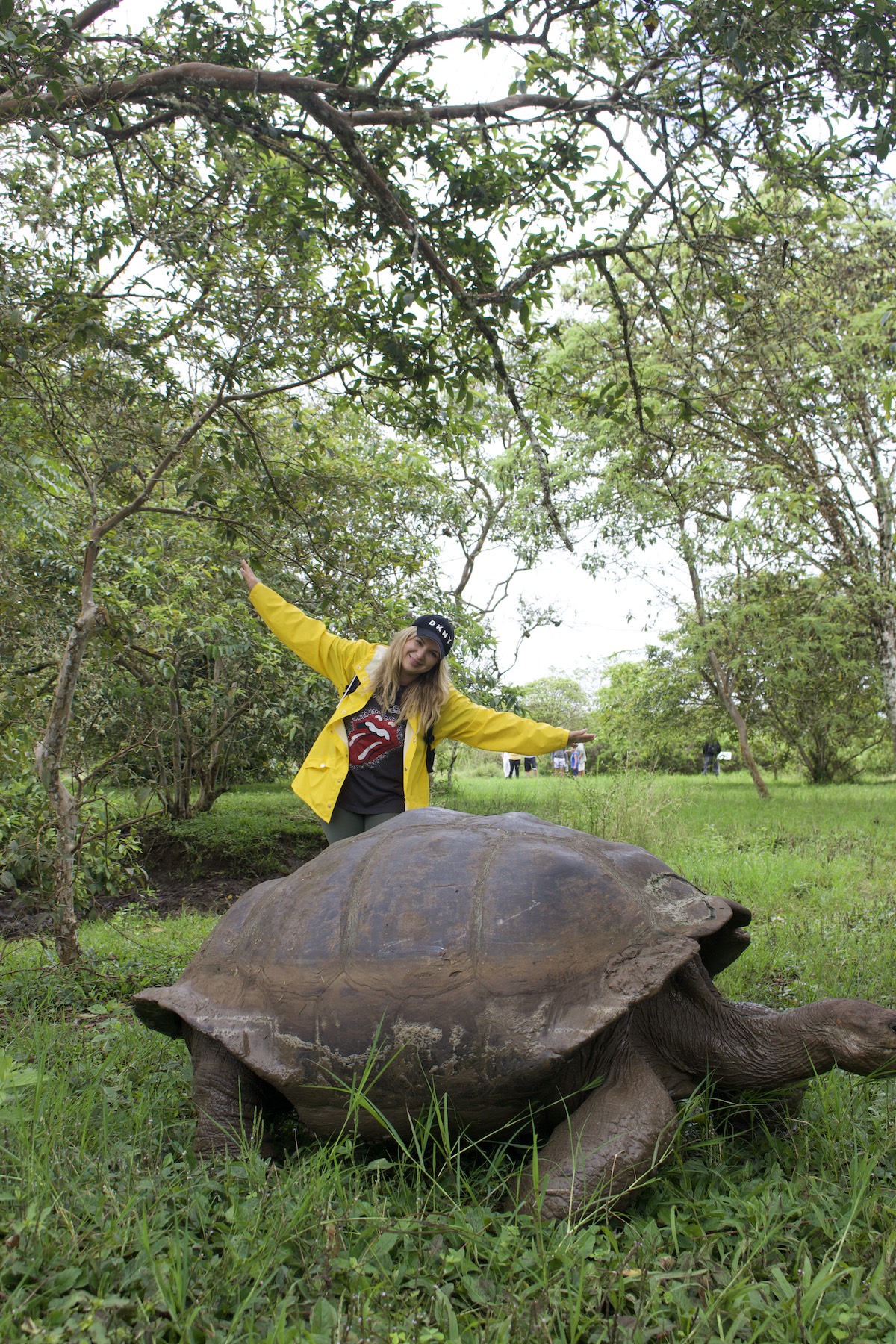 El Chato Tortoise Reserve on Santa Cruz Island