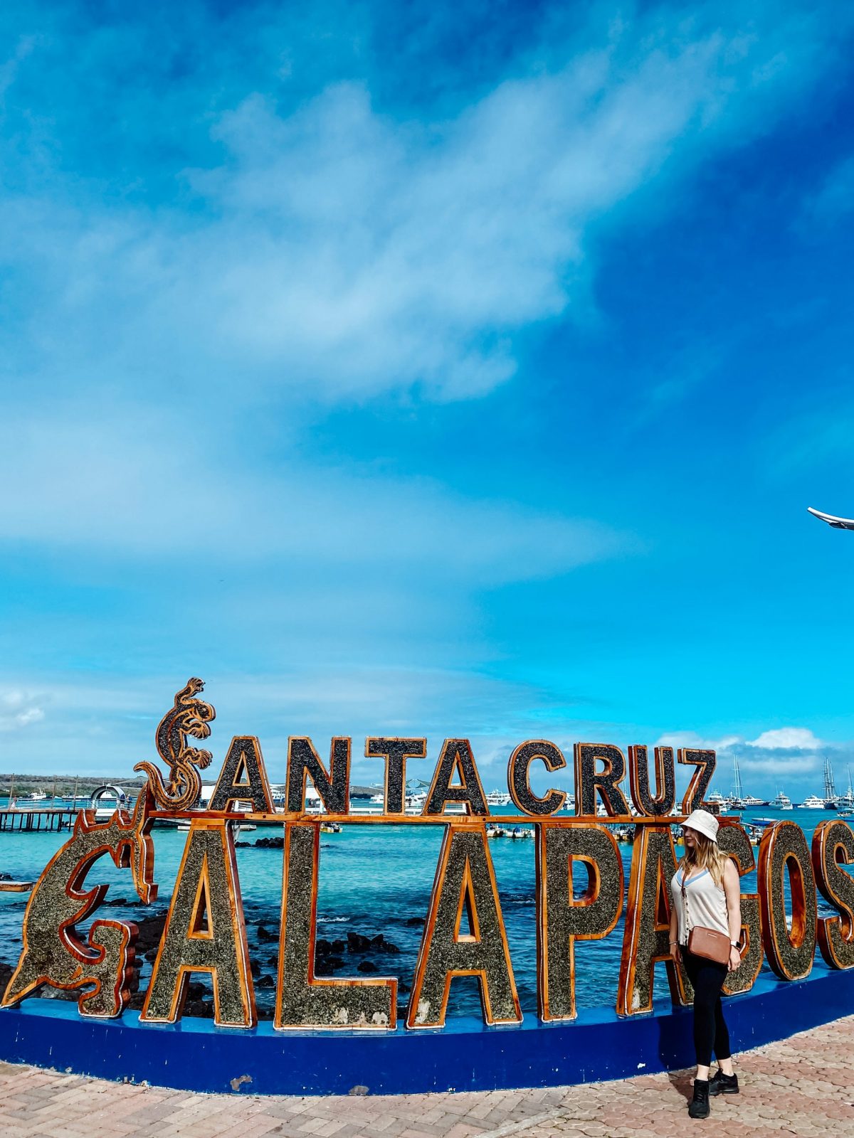 Santa Cruz Galapagos Travel Guide Things To Do Costs Tips My