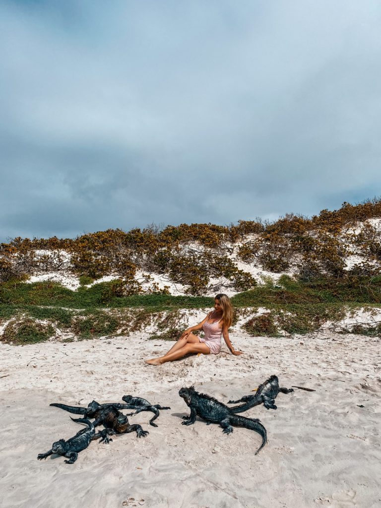 My beautiful wife and marine iguanas on Tortuga Bay