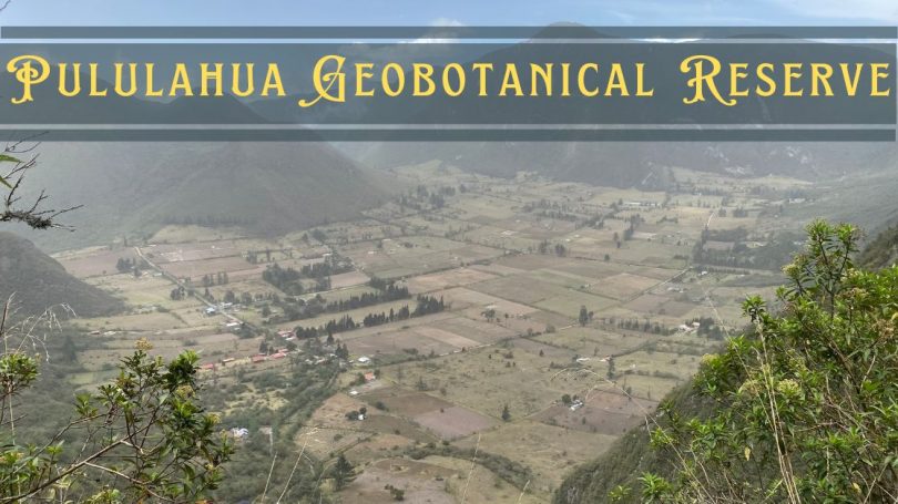 Pululahua Geobotanical Reserve featured featured image