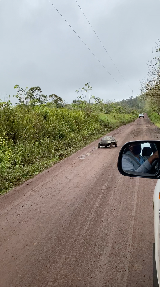 Using taxis on Galapagos