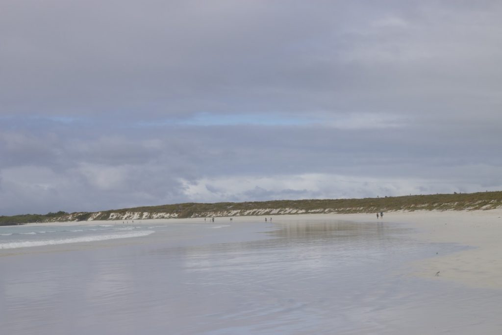 Walking on the beach of Tortuga Bay