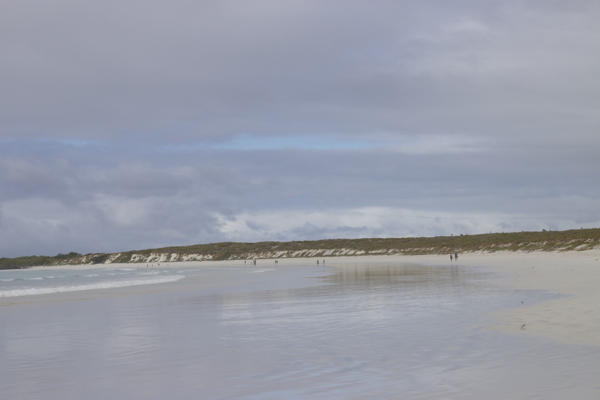 Walking on the beach of Tortuga Bay