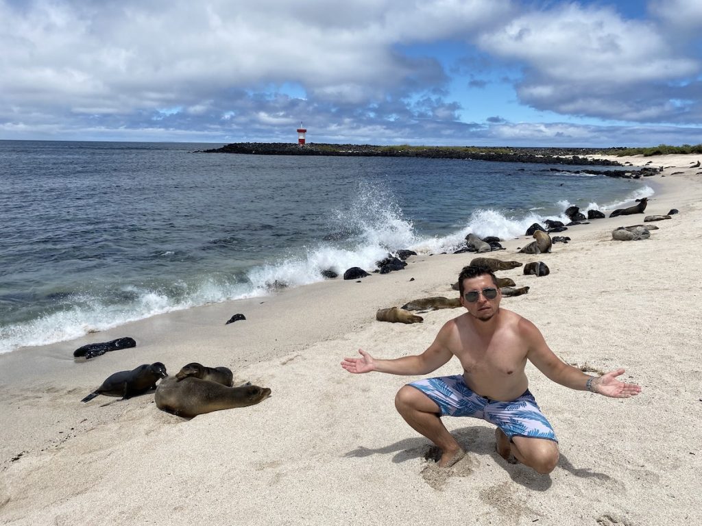 Sealions are chilling on the beach at Galapagos Islands