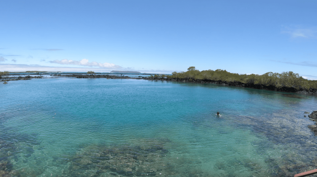 Snorkelling at Concha Perla, Galapagos