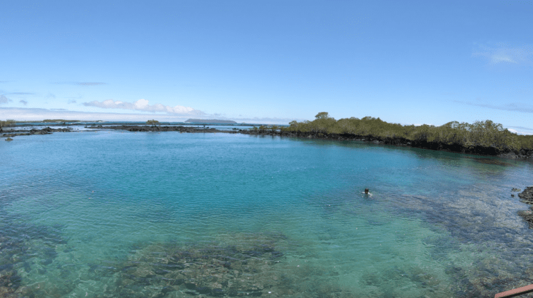 Snorkelling at Concha Perla, Galapagos