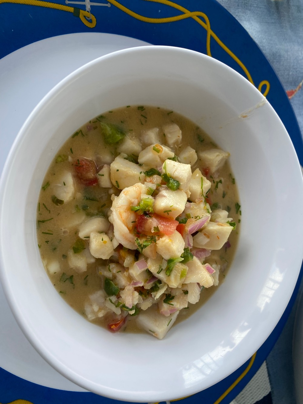 Fish ceviche during Pinzon Island tour