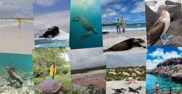 Trip to Galapagos Islands featured image