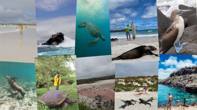 Trip to Galapagos Islands featured image