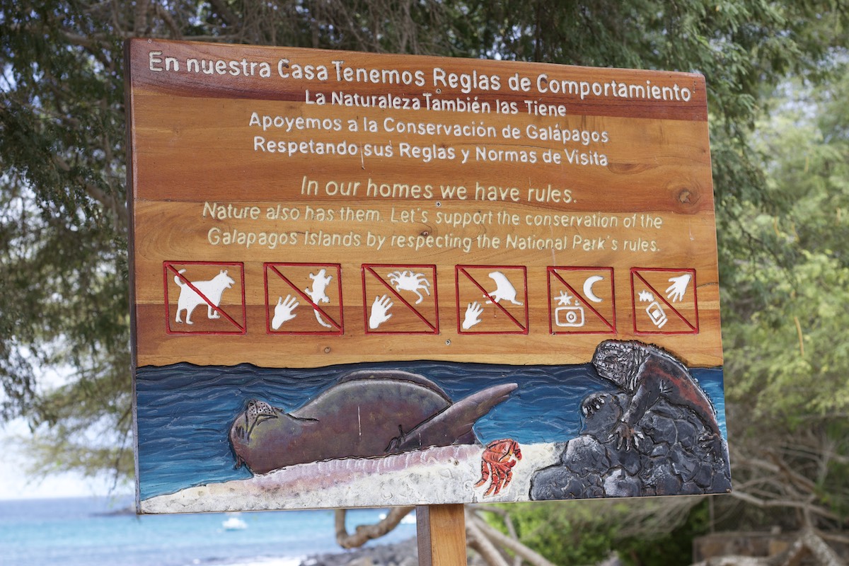 Galapagos Islands rules creative display