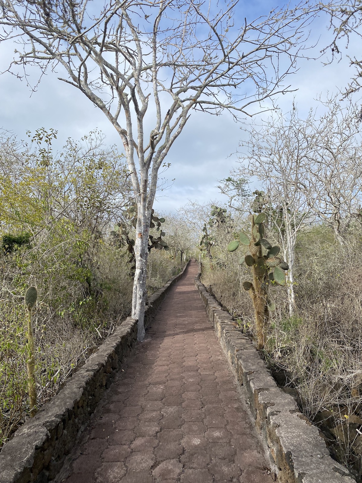 Hike to Tortuga Bay on Galapagos Islands