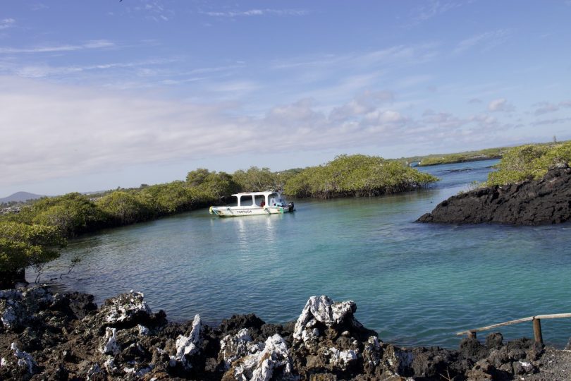 Los Tuneles tour on Galapagos Islands (Isabela Island)
