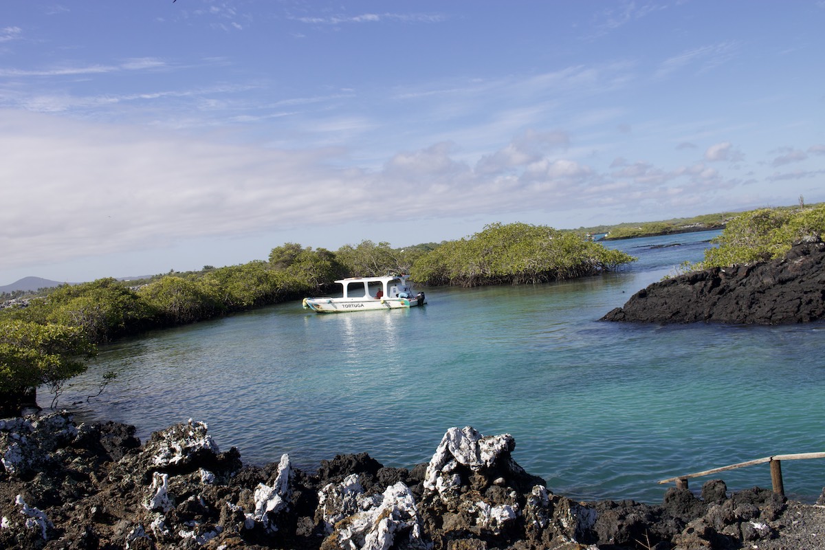 Los Tuneles tour on Galapagos Islands