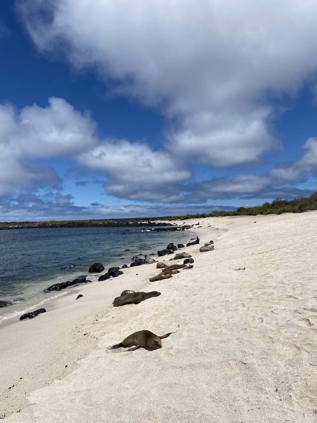 Playa Mann beach on San Cristobal Island (Galapagos)