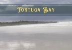 Tortuga Bay Galapagos featured image