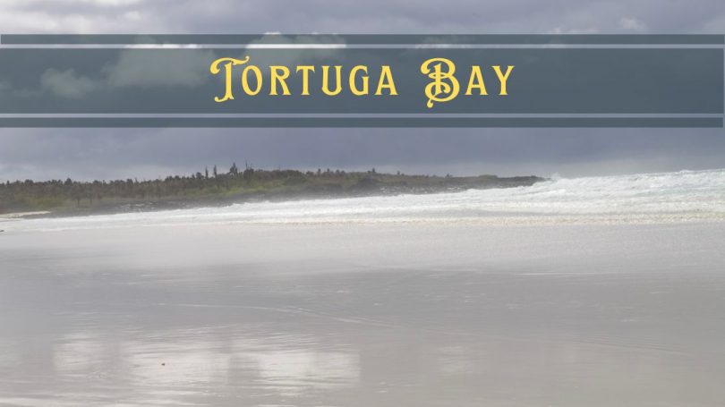 Tortuga Bay Galapagos featured image