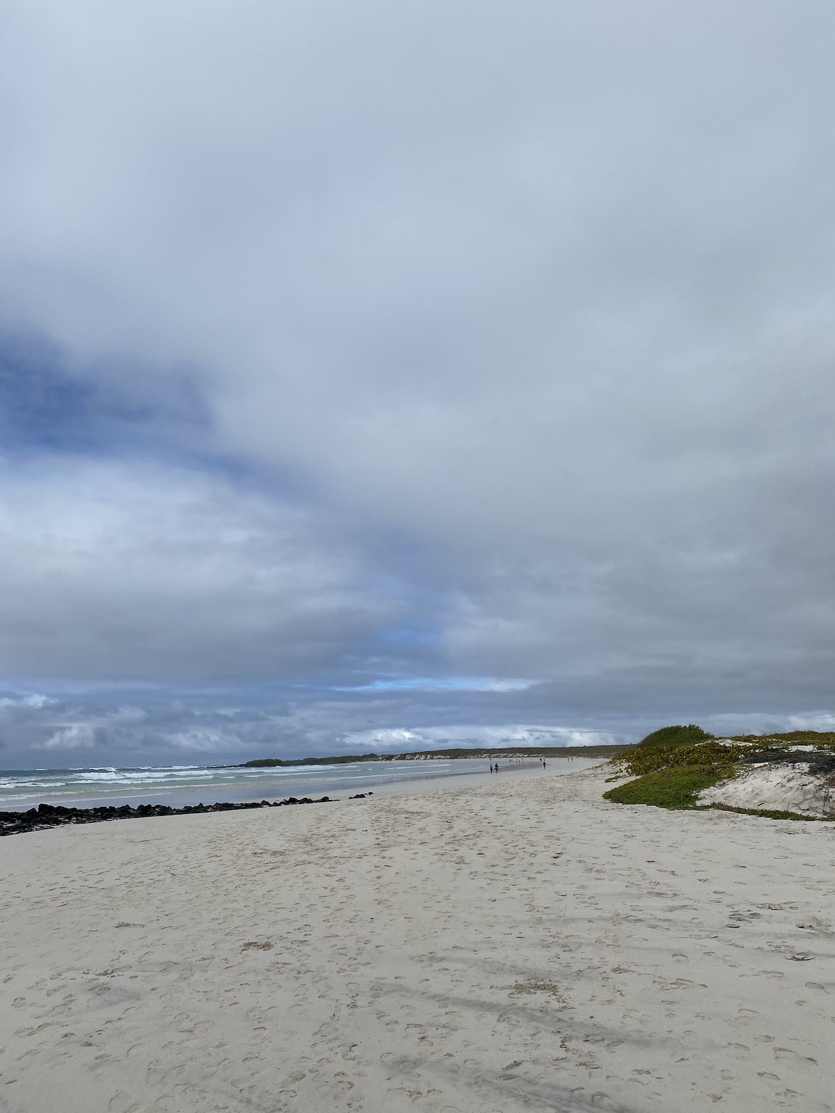 Tortuga Bay beach on Santa Cruz Island, Galapagos