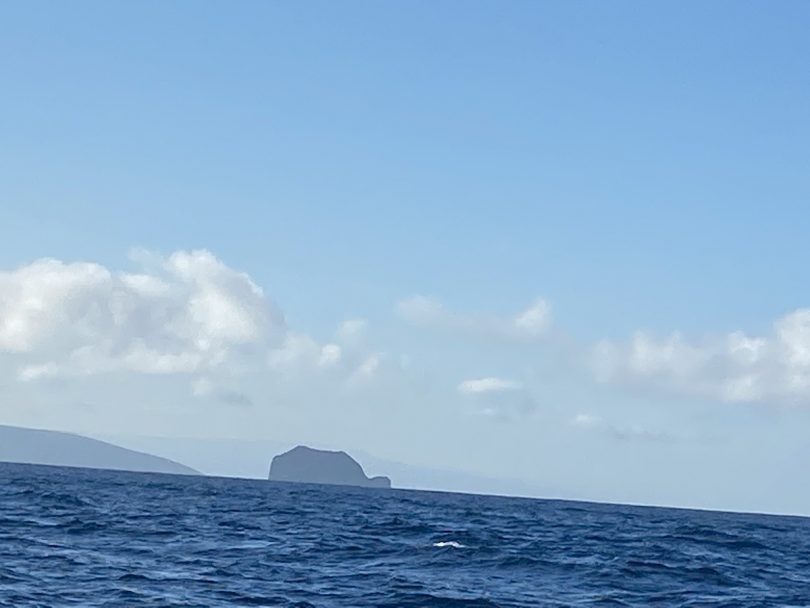 View on Isla Tortuga from the water