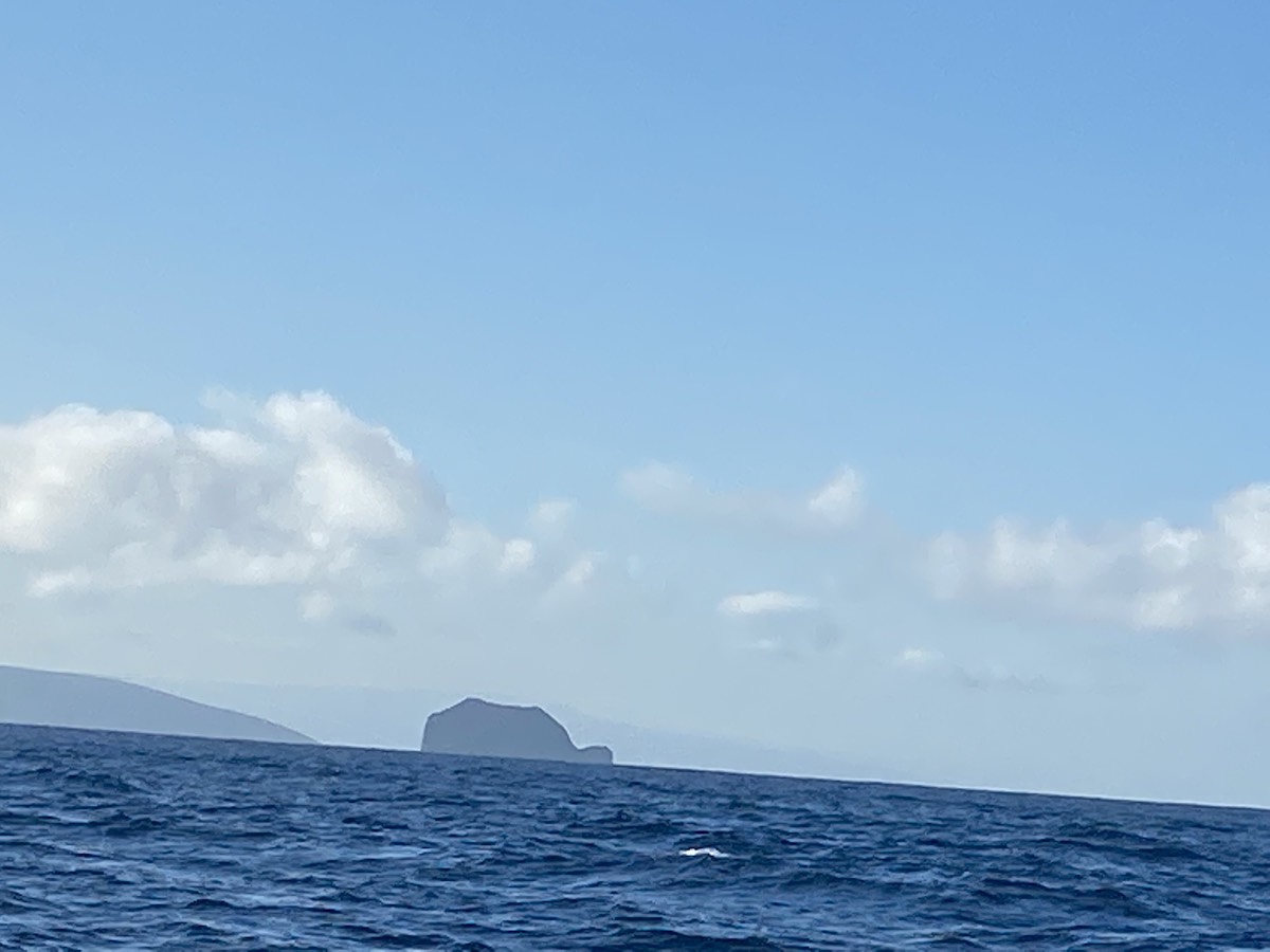 View on Isla Tortuga from the water