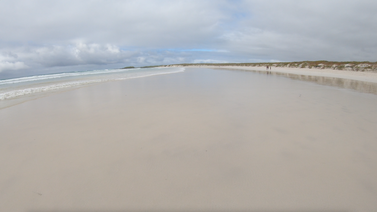 wide beach of Tortuga Bay